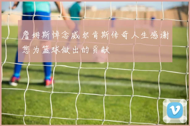 詹姆斯悼念威尔肯斯传奇人生感谢您为篮球做出的贡献
