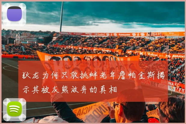 狄龙为何只敢挑衅老年詹帕金斯揭示其被灰熊放弃的真相