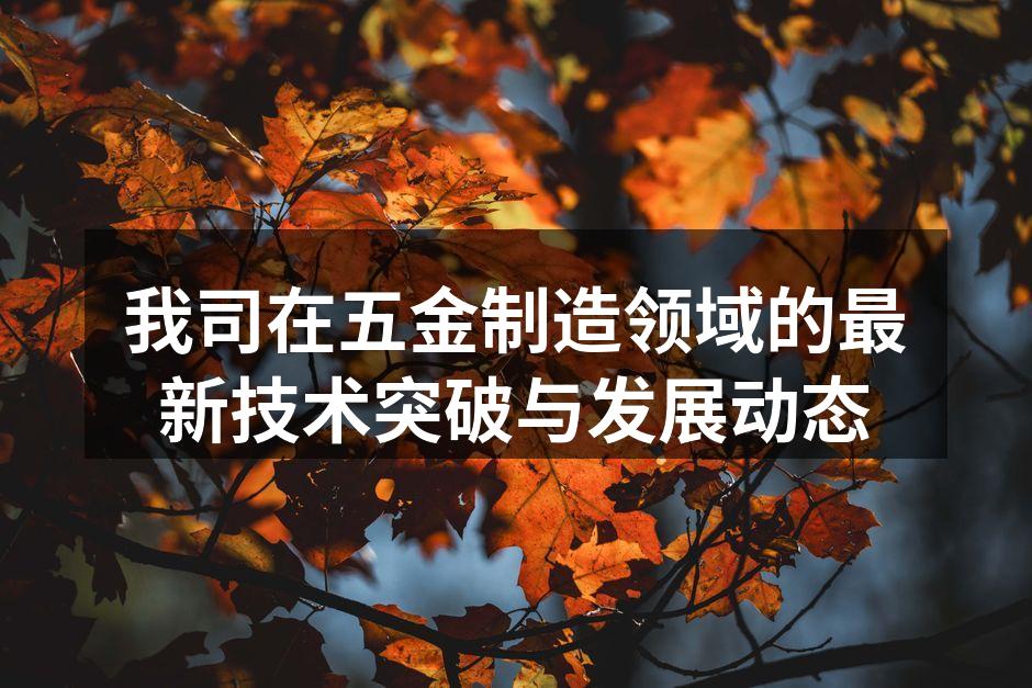新型智能五金加工设备展示